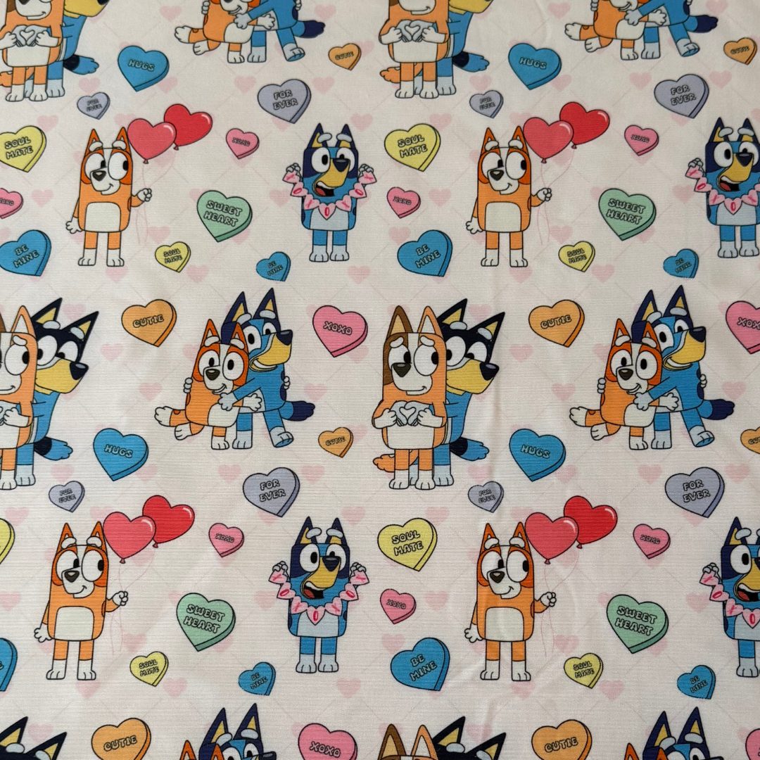 Bluey Love Leotard